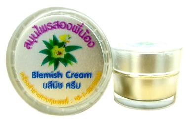 Blemish Cream บลีมิชครีม  เครื่องสำอางควบคุมเลขที่ 10-1-5518945